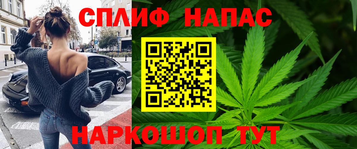 Бошки Шишки план Углич